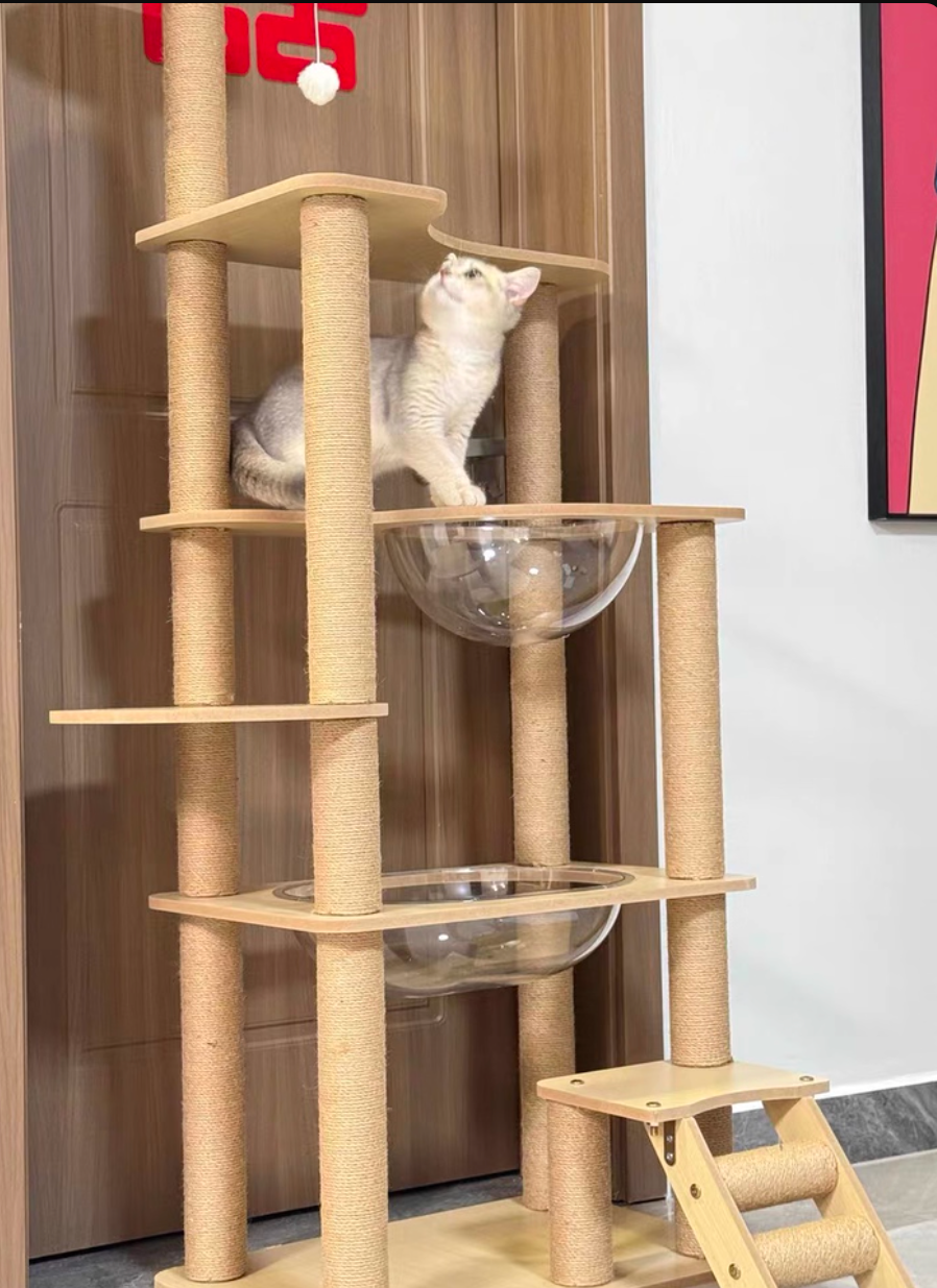 Cat climbing frame enlarged double space capsule cat nest integrated multi-cat shelf