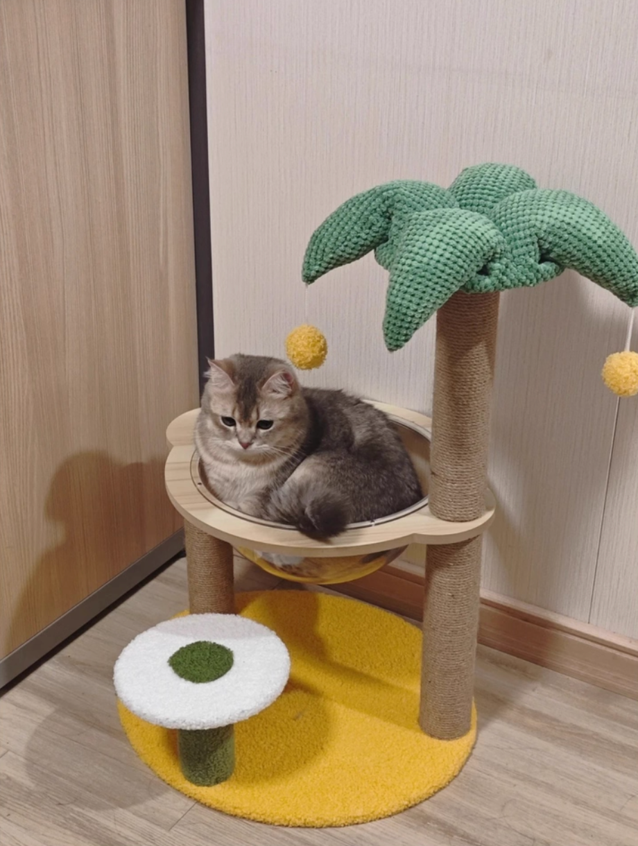 Coconut tree cat climbing frame small non-occupying cat frame